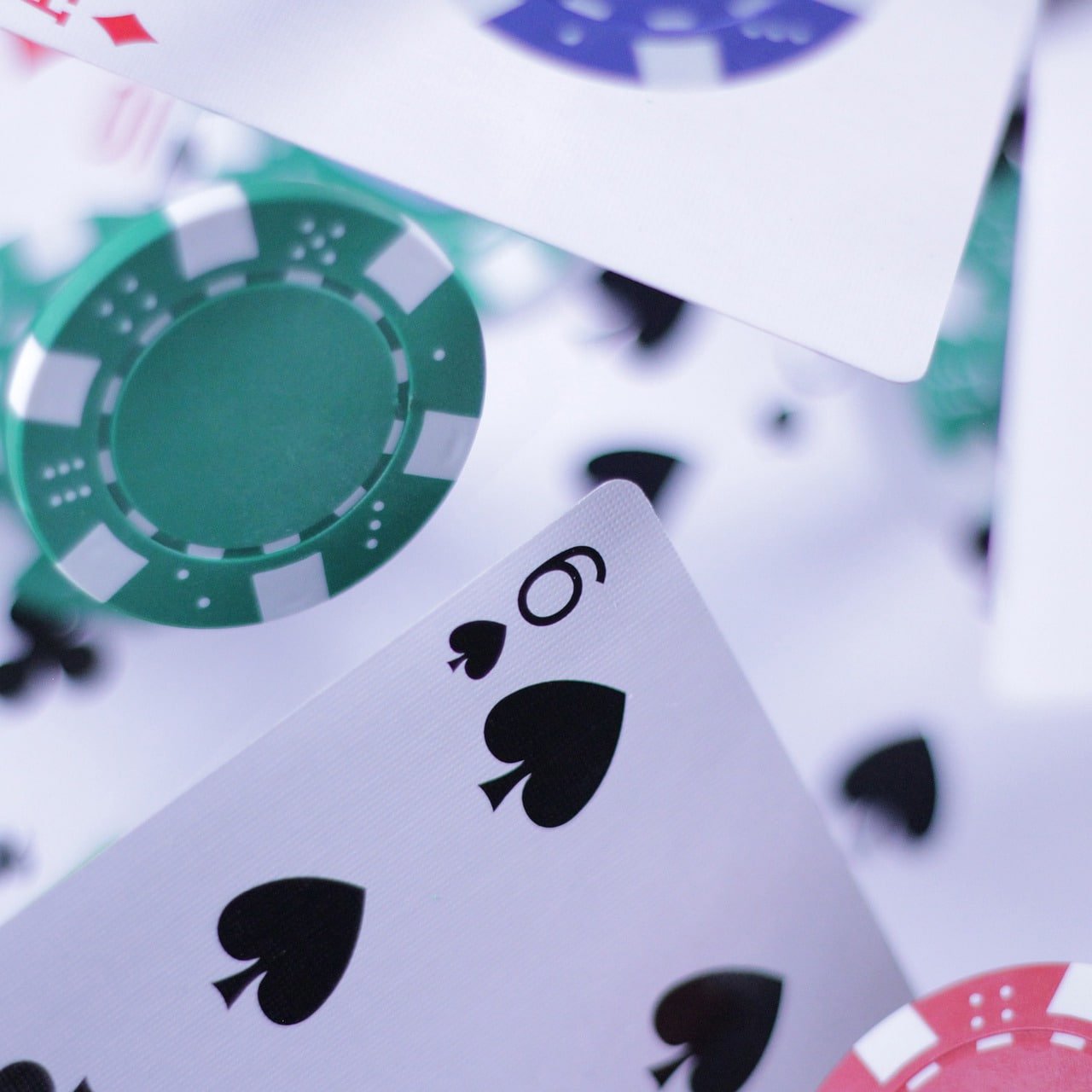 8839 bet app